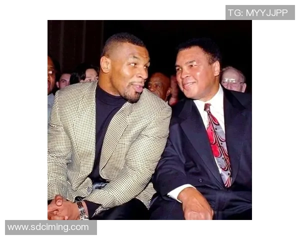 全球体坛兄妹组合精彩对决盘点 不容错过的运动员家庭传奇